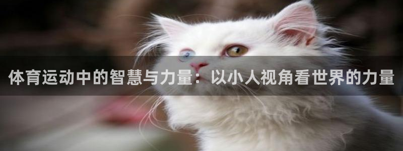 尊龙官网下载招商电话号码查询是多少：体育运动中的智慧