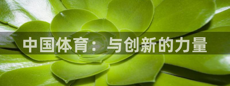 尊龙官方正版app娱乐是那个系列的台子：中国体育：与
