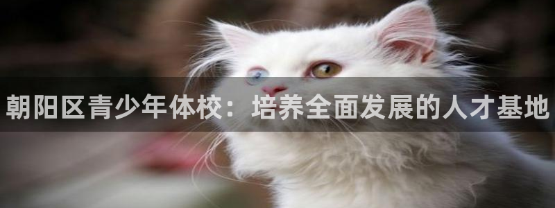 尊龙官网下载娱乐：朝阳区青少年体校：培养全面发展的人