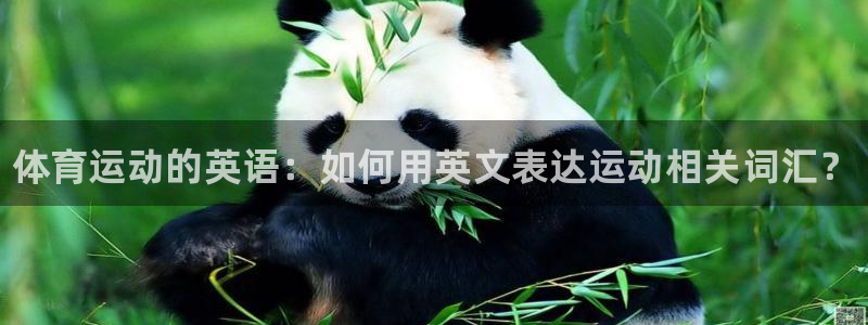 尊龙官网下载招商电话是多少啊：体育运动的英语：如何用