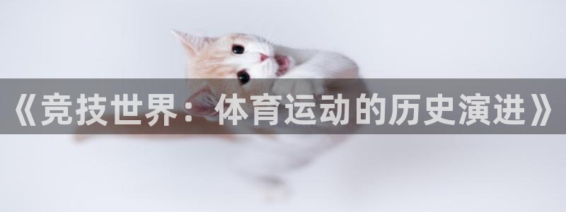 尊龙官方正版app集团官网网址：《竞技世界：体育运动