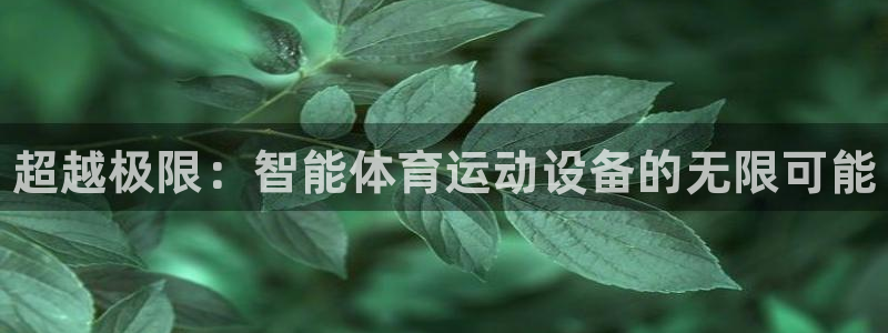 尊龙官方正版app娱乐首页网站大全：超越极限：智能体