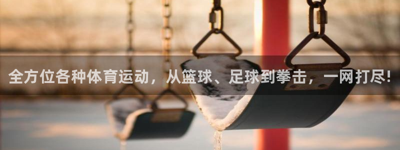 尊龙官方正版app娱乐首页官网下载：全方位各种体育运