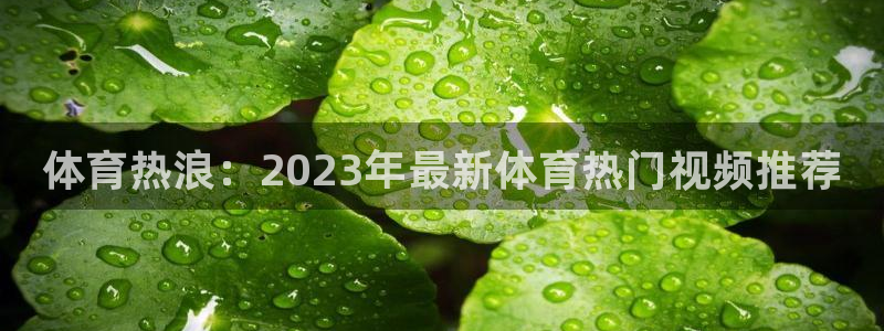 尊龙官网下载招商电话地址：体育热浪：2023年最新体