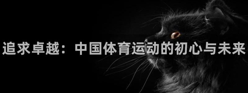 尊龙官网下载招商电话号码是多少：追求卓越：中国体育运