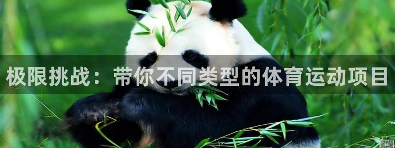尊龙官网下载平台是正规平台吗安全吗：极限挑战：带你不