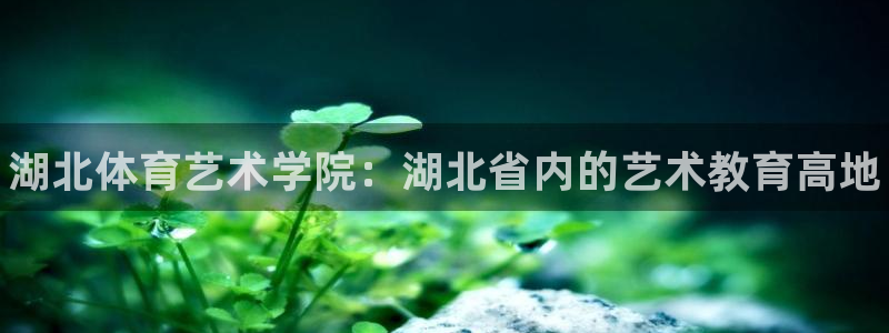 尊龙官网下载招商电话