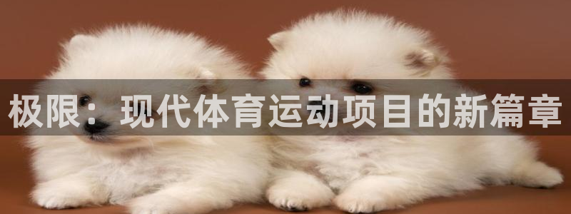 尊龙官网下载招商电话是多少：极限：现代体育运动项目的