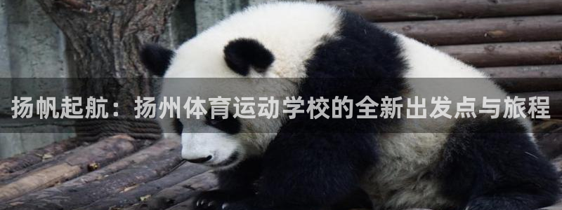 尊龙官方正版app集团E.ON：扬帆起航：扬州体育运动学校的