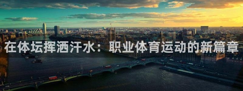 尊龙官网下载招商电话地址查询：在体坛挥洒汗水：职业体育运动的
