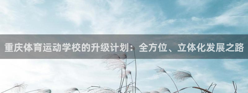 尊龙官网下载招商：重庆体育运动学校的升级计划：全方位