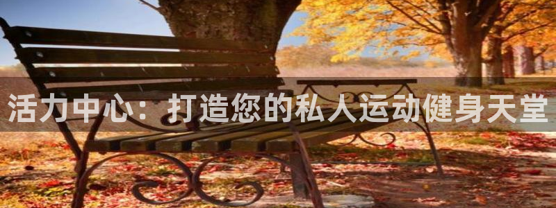 尊龙官网下载平台假的吗是真的吗吗：活力中心：打造您的私人运动