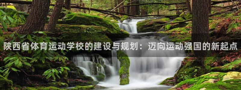 尊龙官方正版app官网：陕西省体育运动学校的建设与规划：迈向