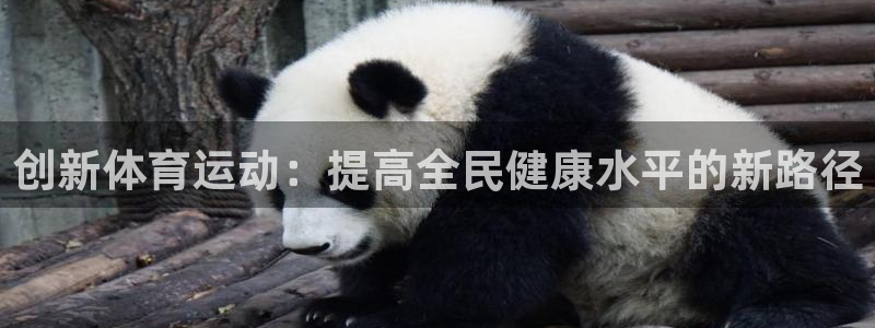 尊龙官网下载开户：创新体育运动：提高全民健康水平的新路径