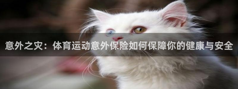 尊龙官网下载娱乐