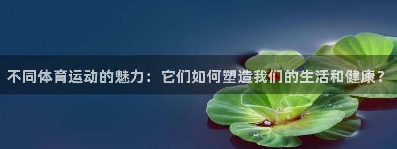 德国尊龙官方正版app集团