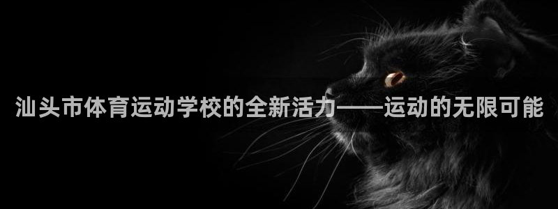 尊龙官方正版app神州：汕头市体育运动学校的全新活力——运动