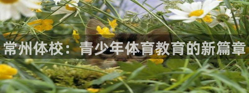 尊龙官网下载平台APP：常州体校：青少年体育教育的新