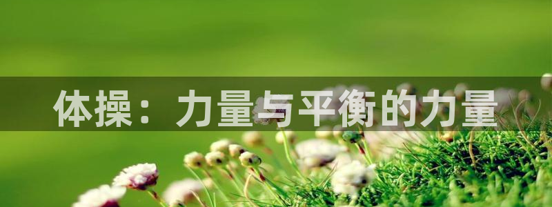 尊龙官网下载招商电话：体操：力量与平衡的力量