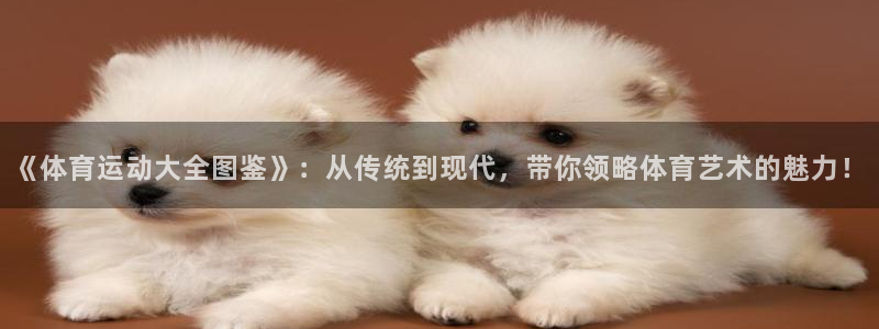 尊龙d88手机版下载：《体育运动大全