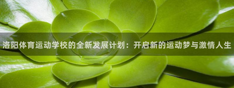 尊龙用现金一下可靠送38元：洛阳体育