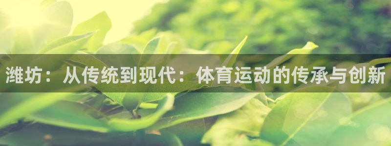 尊龙凯时的辉煌历程：潍坊：从传统到现