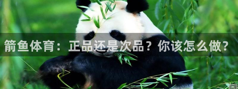  尊龙凯时官网入口：箭鱼体育：正品还是次品？你该怎么做？