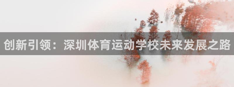 尊龙凯时是谁的旗下的：创新引领：深圳
