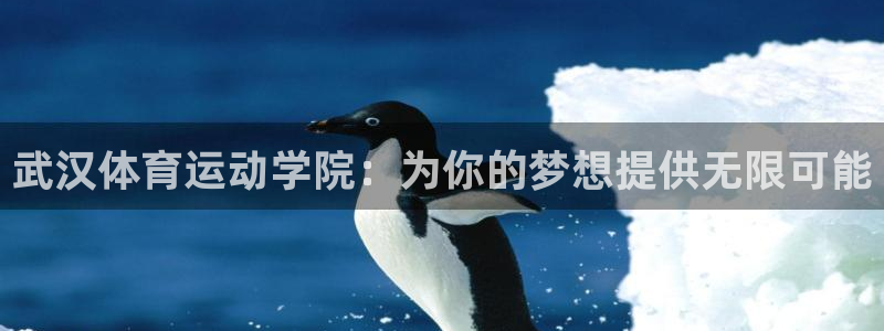  尊龙ag旗舰厅下载：武汉体育运动学院：为你的梦想提供无限可能