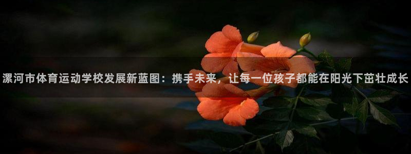 尊龙人生就是博官网登录手机：漯河市体育运动学校发展新蓝图：携