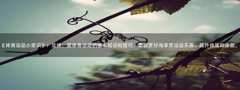 尊龙有多高：《体育运动小常识》：足球