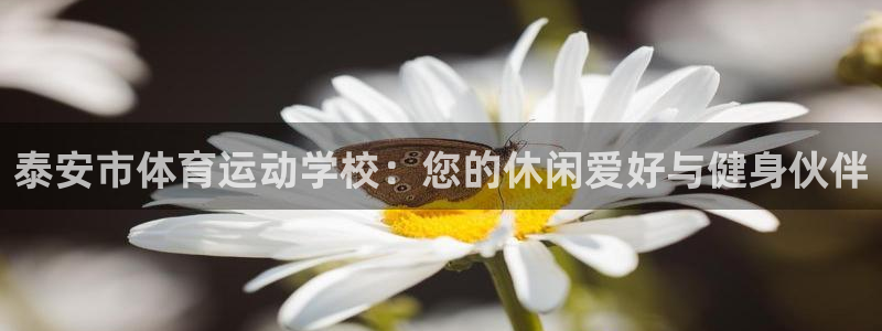 尊龙集团：泰安市体育运动学校：您的休