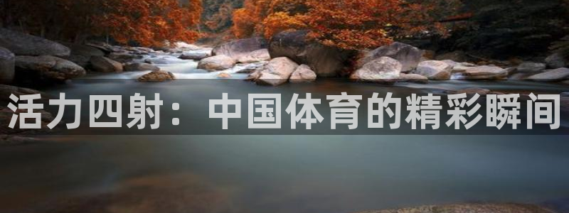 尊龙人生就是手机版：活力四射：中国体