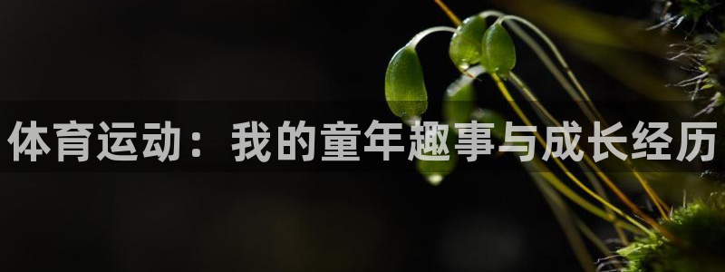 尊龙官方正版app集团logo：体育运动：我的童年趣事与成长