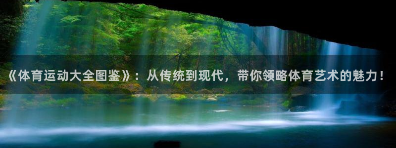 尊龙官方正版app官方：《体育运动大全图鉴》：从传统到现代，