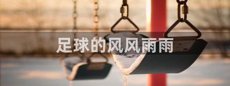 尊龙官网下载平台APP：足球的风风雨雨