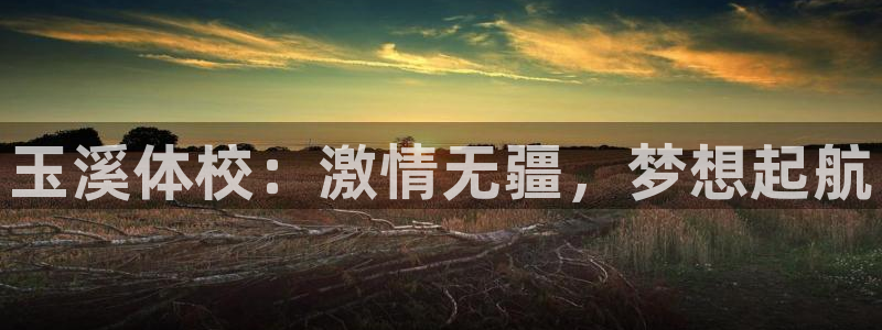 尊龙官网下载平台注册要钱吗安全吗:玉溪体校:激情无疆,梦想起
