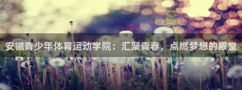 尊龙官网下载是干嘛的公司:安徽青少年体育运动学院:汇聚青春,
